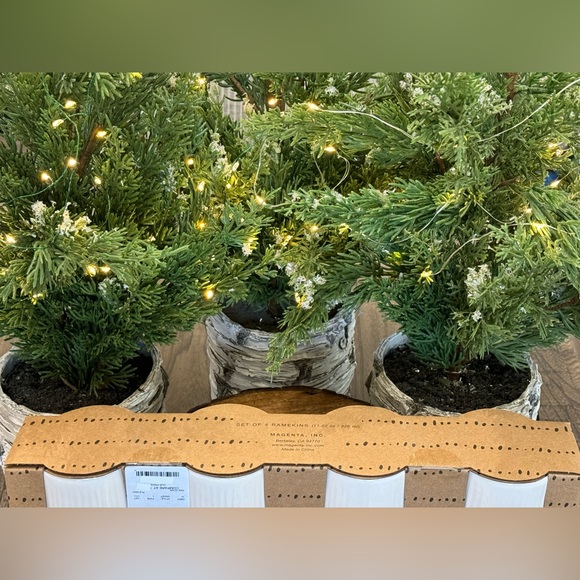 ✨ Brand NEW in Box Rae Dunn Set of 4 Ramekins- NUTS SPRINKLES CHERRIES CANDY ✨ - Picture 9 of 11